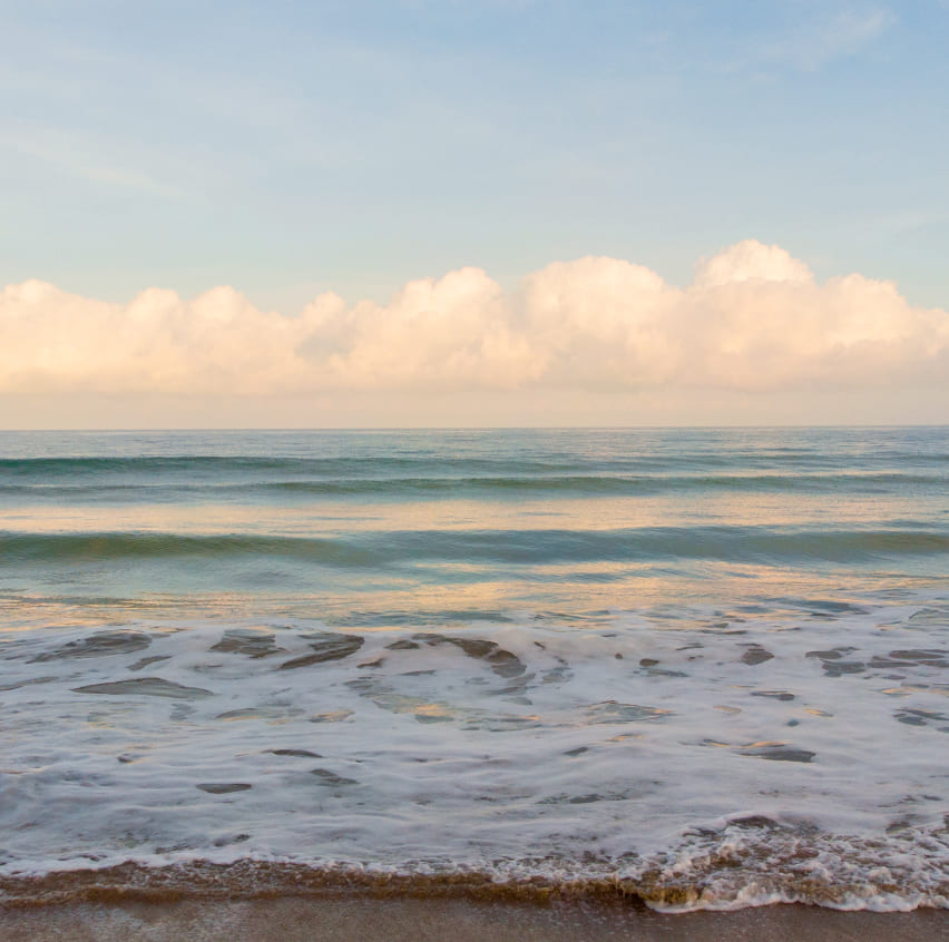 Venta de departamentos en Punta de Mita